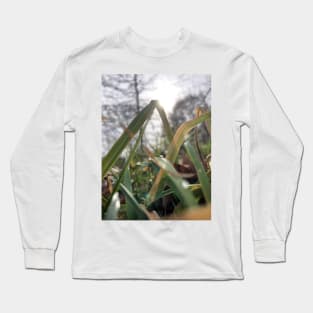 Prospect Park Shimmering Dew Long Sleeve T-Shirt